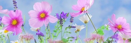 Het nieuwe zonnejaar is gestart - hoe creëer jij je nieuwe verhaal?